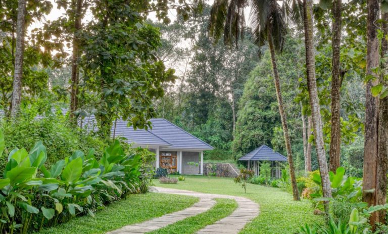 A House Merged With Lush Greenery