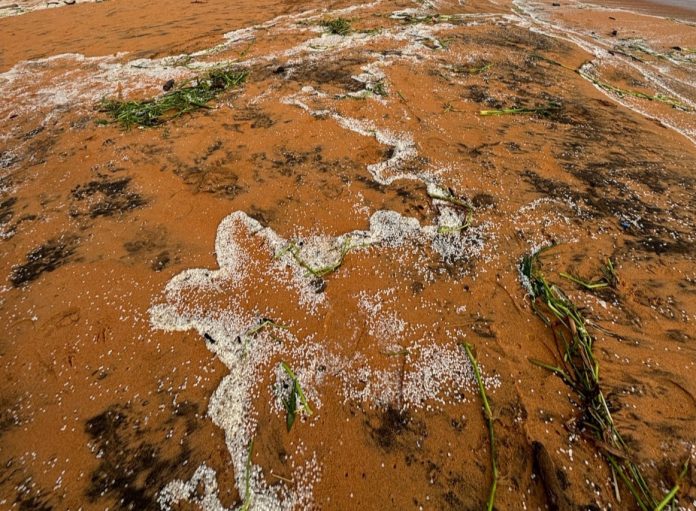 shipwreck and Plastic pellet environmental pollution